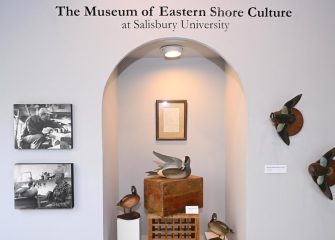 SU’s Museum of Eastern Shore Culture Holds Poster Contest