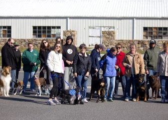Salisbury Kennel Club Annual Dog Walk