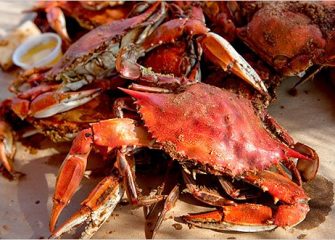 Maryland Building Industry’s Crab Feast