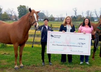 Horse Schooling Show to Benefit Women Supporting Women