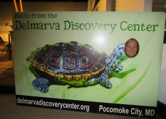 Discovery Center New Director