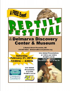 reptile festival flyer