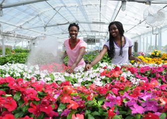 SU Named Among Nation’s “50 Most Amazing University Arboretums”