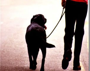 Annual Dog Walk/Responsible Dog Ownership Day