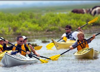 Wicomico Recreation Introduces River Otter Paddle Excursions