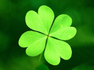 four leaf clover