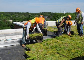 Green Roof Installed at SU