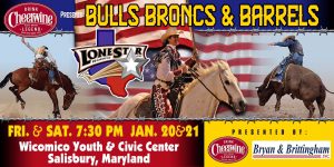 Lone-Star-Rodeo-Banner