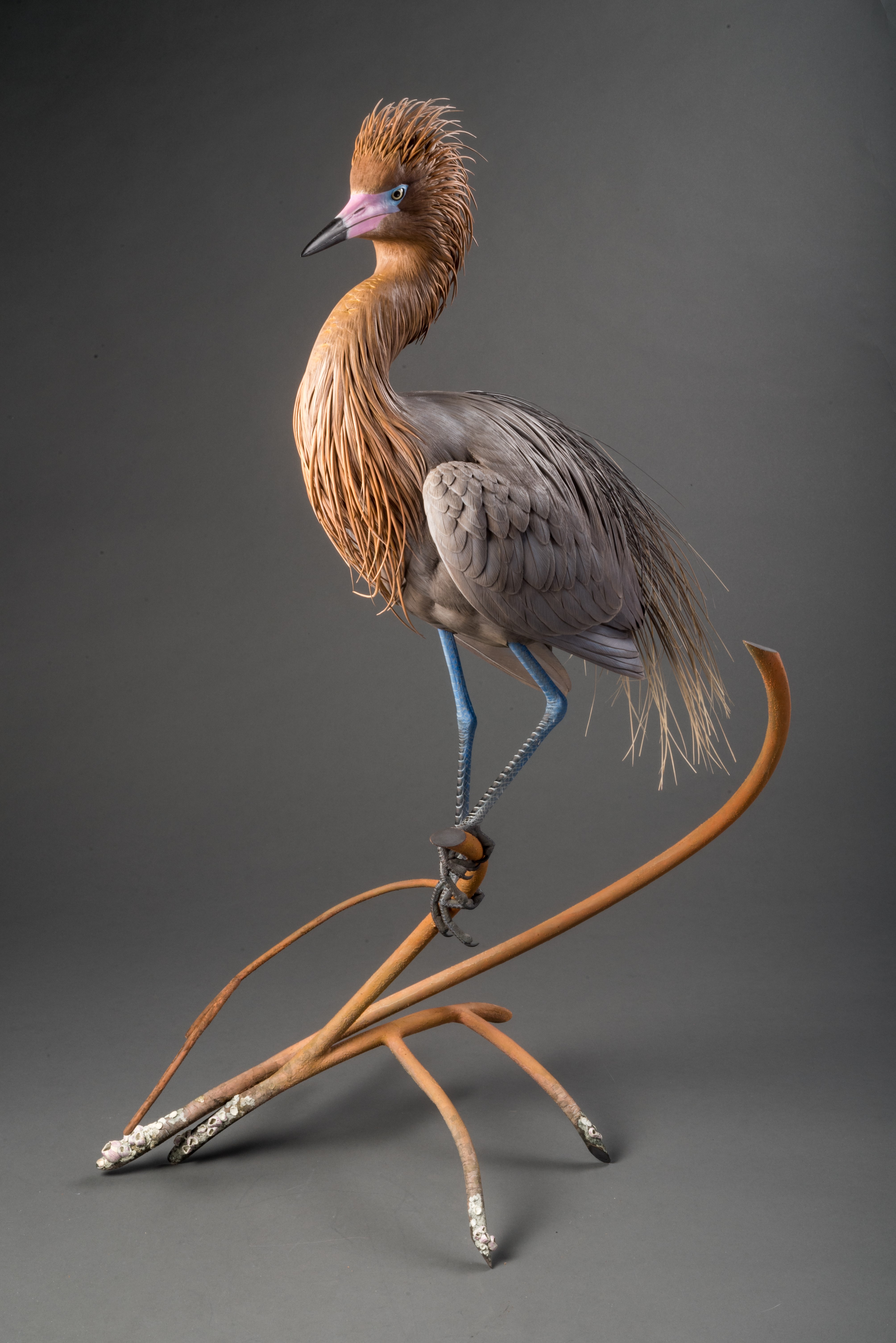 FORTY-EIGHTH ANNUAL WARD WORLD CHAMPIONSHIP WILDFOWL CARVING