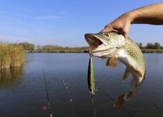 Youth Fishing Derby offers free family fun June 2