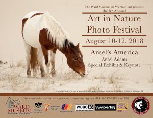 Art in Nature Photo Festival Flyer