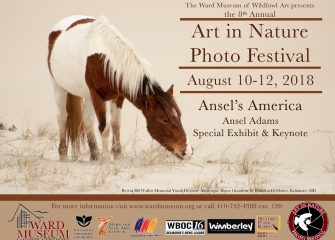 Eighth Annual Art in Nature Photo Festival