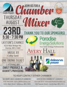 Salisbury Chamber Mixer flyer