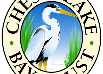 Chesapeake Bay Trust Awards Salisbury-Funded Outreach and Restoration Grants