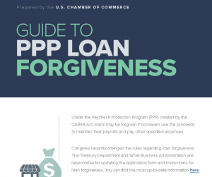 2020-06-15 - PPP Forgiveness