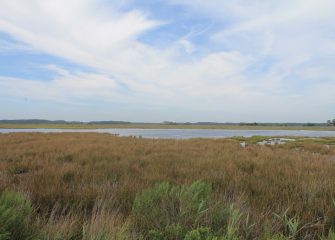 Largest Conservation Easement Settles in Somerset County