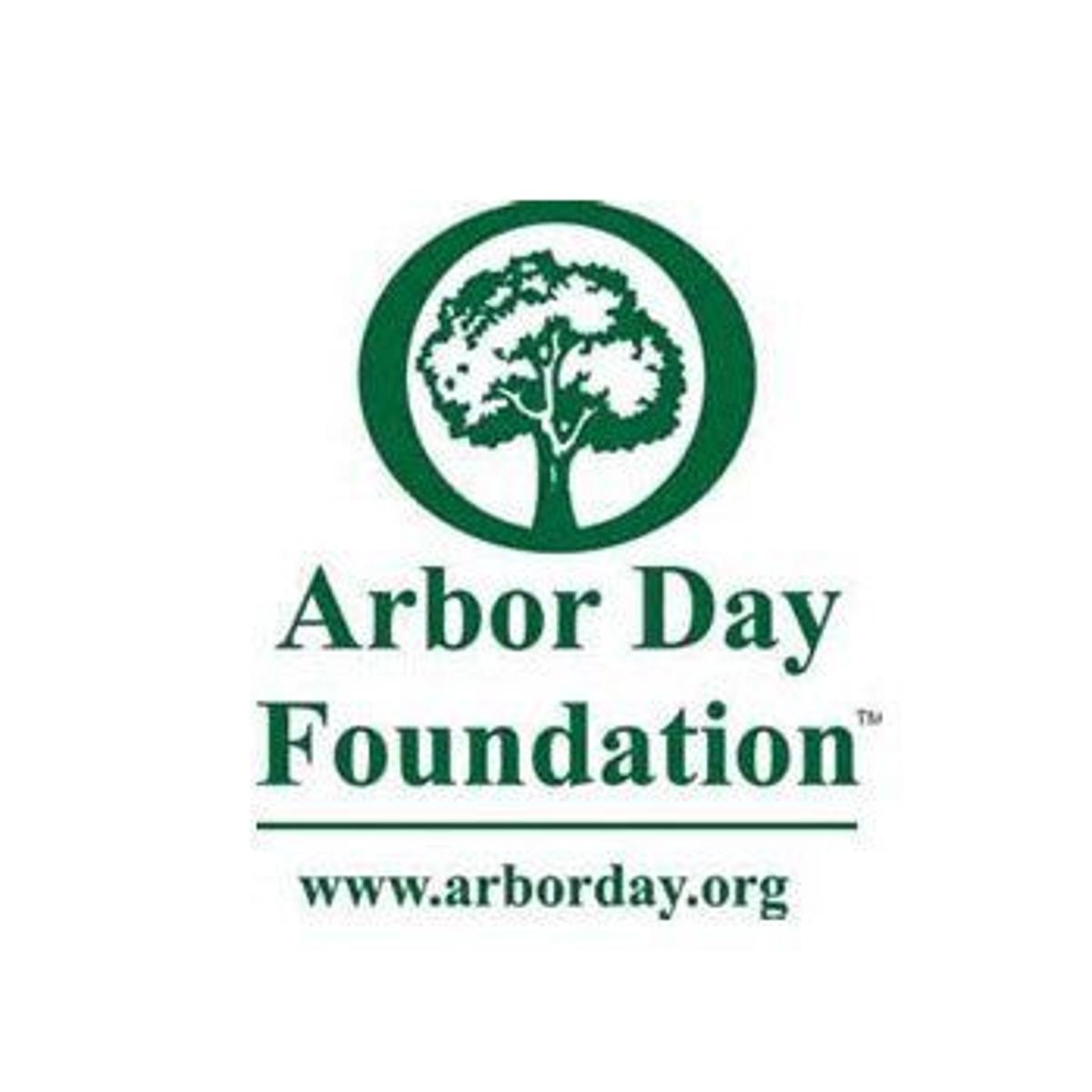 Arbor Day Foundation Names Salisbury a Tree City SBJ