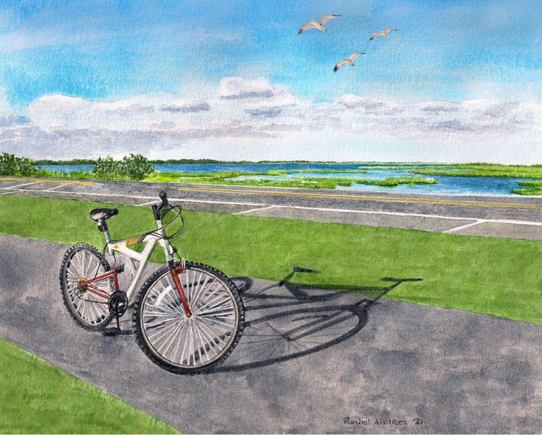 sea gull century 2020