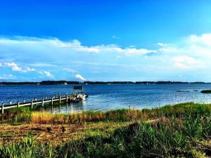 Bull Lips Dock