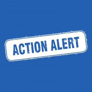 Action Alert Stamp. Action Alert Square Grunge Sign. Action Aler