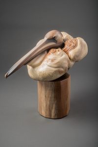Brown Pelican by Lynn Branson
