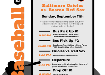 Local Young Professionals Are Heading to Camden Yards!