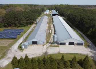 Eastern Shore Air Monitoring Effort Shows Little Variation Between Poultry Areas, Urban Regions