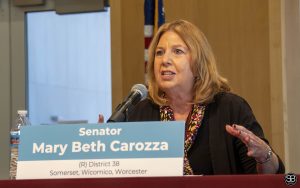 Senator Mary Beth Carozza