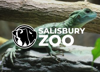 Salisbury Zoo Announces Rebranding