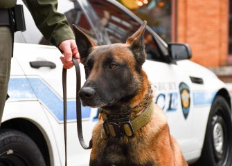 New Police K-9 Joining Salisbury Police Department