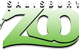 Salisbury Zoo Welcomes New Wolf