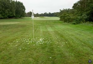 Flagstick with ball drop around it