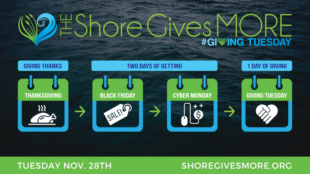 Giving Tuesday event infographic