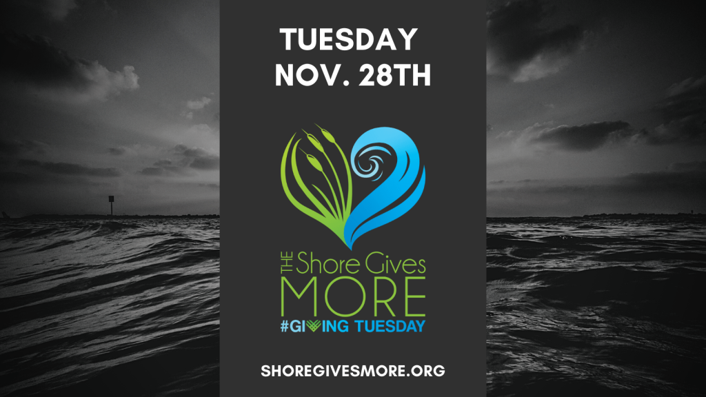 Giving Tuesday infographic with waves in the background