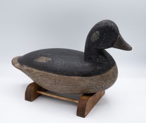 Wood Duck carving on a wooden stand from the Ward Museum