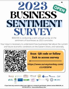 Eastern Shore Business Sentiment Survey