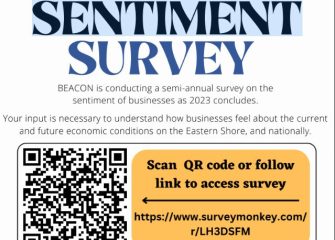 Business Sentiment Survey