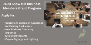Infographic for the Snow Hill Business Member Grant