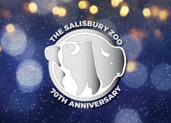 Salisbury Zoo to Host 70th Anniversary Gala
