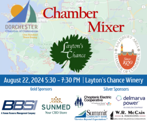 Chamber Mixer flyer