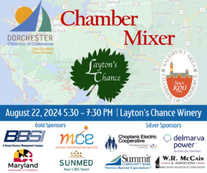 Updated Chamber Mixer flyer with sponsors