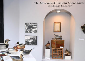 Museum of Eastern Shore Culture at SU Receives $35,800 Maryland Heritage Area Authority Grant