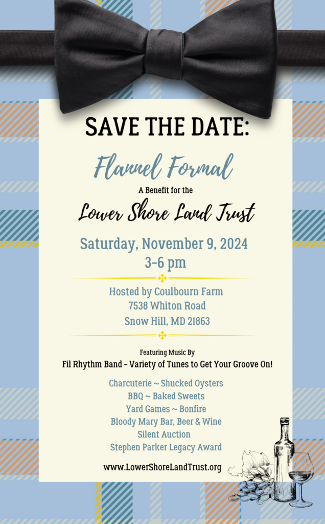 Save the Date Flannel Formal Flyer