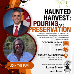 Haunted Harvest Social Graphic