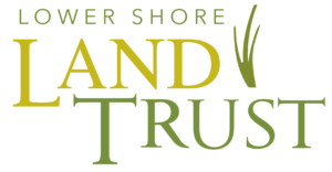 Lower Shore Land Trust Logo