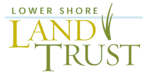 lower-shore-land-trust