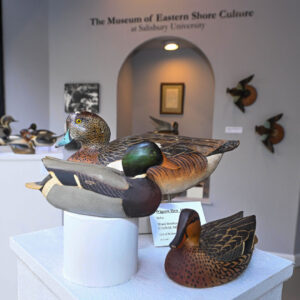 Museum of Eastern Shore Culture at SU