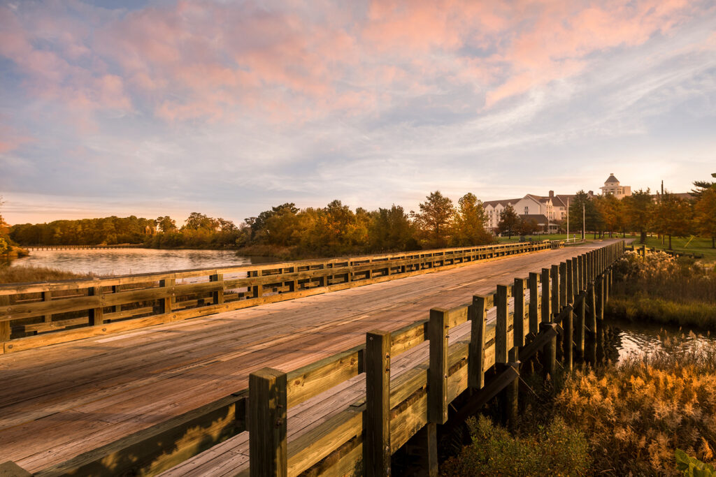 Entry Road to Hyatt Regency Chesapeake Bay