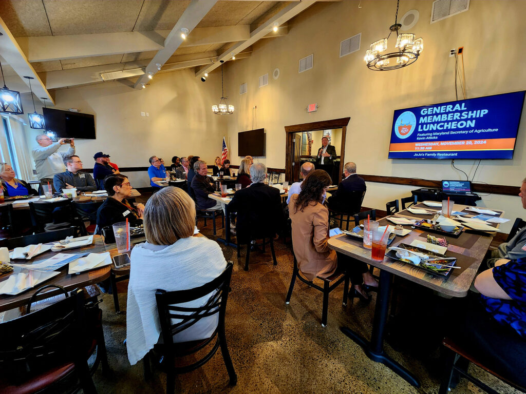 Group of people at a luncheon listening to the guest speaker