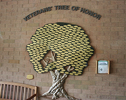 war memorial tree